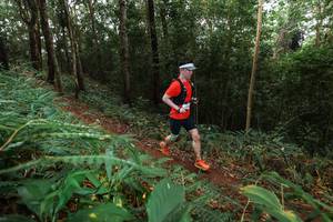 BIB: 
                            <button type="button" onclick="openModal(22486510)" class="btn btn-primary btn-sm float-right btn-popup" data-toggle="modal" data-target=".modal-high-quality">
                        <i class="fas fa-shopping-cart"></i> Add to Cart
                    </button>
                                            <button type="button" onclick="isThisMe(22486510, true)" class="btn btn-success btn-sm float-right btn-popup btn-isme hidden" data-toggle="tooltip" data-placement="bottom" title="นี่คือรูปของคุณใช่ไหม คลิกที่นี่เพื่อเอาเข้าอัลบั้ม">
                        <i class="fas fa-plus"></i> Add to album
                    </button>
                    <button type="button" onclick="isThisMe(22486510, false)" class="btn btn-warning btn-sm float-right btn-popup btn-isnotme hidden">
                        <i class="fas fa-ban"></i> Remove from album
                    </button>