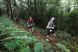 BIB: 
                            <button type="button" onclick="openModal(22484529)" class="btn btn-primary btn-sm float-right btn-popup" data-toggle="modal" data-target=".modal-high-quality">
                        <i class="fas fa-shopping-cart"></i> Add to Cart
                    </button>
                                            <button type="button" onclick="isThisMe(22484529, true)" class="btn btn-success btn-sm float-right btn-popup btn-isme hidden" data-toggle="tooltip" data-placement="bottom" title="นี่คือรูปของคุณใช่ไหม คลิกที่นี่เพื่อเอาเข้าอัลบั้ม">
                        <i class="fas fa-plus"></i> Add to album
                    </button>
                    <button type="button" onclick="isThisMe(22484529, false)" class="btn btn-warning btn-sm float-right btn-popup btn-isnotme hidden">
                        <i class="fas fa-ban"></i> Remove from album
                    </button>