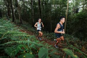 BIB: 200, 
                            <button type="button" onclick="openModal(22480917)" class="btn btn-primary btn-sm float-right btn-popup" data-toggle="modal" data-target=".modal-high-quality">
                        <i class="fas fa-shopping-cart"></i> Add to Cart
                    </button>
                                            <button type="button" onclick="isThisMe(22480917, true)" class="btn btn-success btn-sm float-right btn-popup btn-isme hidden" data-toggle="tooltip" data-placement="bottom" title="นี่คือรูปของคุณใช่ไหม คลิกที่นี่เพื่อเอาเข้าอัลบั้ม">
                        <i class="fas fa-plus"></i> Add to album
                    </button>
                    <button type="button" onclick="isThisMe(22480917, false)" class="btn btn-warning btn-sm float-right btn-popup btn-isnotme hidden">
                        <i class="fas fa-ban"></i> Remove from album
                    </button>