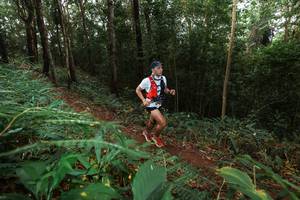 BIB: 
                            <button type="button" onclick="openModal(22486600)" class="btn btn-primary btn-sm float-right btn-popup" data-toggle="modal" data-target=".modal-high-quality">
                        <i class="fas fa-shopping-cart"></i> Add to Cart
                    </button>
                                            <button type="button" onclick="isThisMe(22486600, true)" class="btn btn-success btn-sm float-right btn-popup btn-isme hidden" data-toggle="tooltip" data-placement="bottom" title="นี่คือรูปของคุณใช่ไหม คลิกที่นี่เพื่อเอาเข้าอัลบั้ม">
                        <i class="fas fa-plus"></i> Add to album
                    </button>
                    <button type="button" onclick="isThisMe(22486600, false)" class="btn btn-warning btn-sm float-right btn-popup btn-isnotme hidden">
                        <i class="fas fa-ban"></i> Remove from album
                    </button>