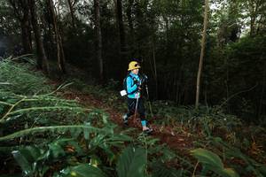 BIB: 
                            <button type="button" onclick="openModal(22463375)" class="btn btn-primary btn-sm float-right btn-popup" data-toggle="modal" data-target=".modal-high-quality">
                        <i class="fas fa-shopping-cart"></i> Add to Cart
                    </button>
                                            <button type="button" onclick="isThisMe(22463375, true)" class="btn btn-success btn-sm float-right btn-popup btn-isme hidden" data-toggle="tooltip" data-placement="bottom" title="นี่คือรูปของคุณใช่ไหม คลิกที่นี่เพื่อเอาเข้าอัลบั้ม">
                        <i class="fas fa-plus"></i> Add to album
                    </button>
                    <button type="button" onclick="isThisMe(22463375, false)" class="btn btn-warning btn-sm float-right btn-popup btn-isnotme hidden">
                        <i class="fas fa-ban"></i> Remove from album
                    </button>