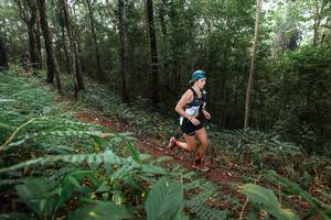 BIB: 
                            <button type="button" onclick="openModal(22482106)" class="btn btn-primary btn-sm float-right btn-popup" data-toggle="modal" data-target=".modal-high-quality">
                        <i class="fas fa-shopping-cart"></i> Add to Cart
                    </button>
                                            <button type="button" onclick="isThisMe(22482106, true)" class="btn btn-success btn-sm float-right btn-popup btn-isme hidden" data-toggle="tooltip" data-placement="bottom" title="นี่คือรูปของคุณใช่ไหม คลิกที่นี่เพื่อเอาเข้าอัลบั้ม">
                        <i class="fas fa-plus"></i> Add to album
                    </button>
                    <button type="button" onclick="isThisMe(22482106, false)" class="btn btn-warning btn-sm float-right btn-popup btn-isnotme hidden">
                        <i class="fas fa-ban"></i> Remove from album
                    </button>