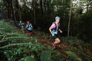 BIB: 
                            <button type="button" onclick="openModal(22462767)" class="btn btn-primary btn-sm float-right btn-popup" data-toggle="modal" data-target=".modal-high-quality">
                        <i class="fas fa-shopping-cart"></i> Add to Cart
                    </button>
                                            <button type="button" onclick="isThisMe(22462767, true)" class="btn btn-success btn-sm float-right btn-popup btn-isme hidden" data-toggle="tooltip" data-placement="bottom" title="นี่คือรูปของคุณใช่ไหม คลิกที่นี่เพื่อเอาเข้าอัลบั้ม">
                        <i class="fas fa-plus"></i> Add to album
                    </button>
                    <button type="button" onclick="isThisMe(22462767, false)" class="btn btn-warning btn-sm float-right btn-popup btn-isnotme hidden">
                        <i class="fas fa-ban"></i> Remove from album
                    </button>