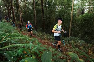 BIB: 
                            <button type="button" onclick="openModal(22464710)" class="btn btn-primary btn-sm float-right btn-popup" data-toggle="modal" data-target=".modal-high-quality">
                        <i class="fas fa-shopping-cart"></i> Add to Cart
                    </button>
                                            <button type="button" onclick="isThisMe(22464710, true)" class="btn btn-success btn-sm float-right btn-popup btn-isme hidden" data-toggle="tooltip" data-placement="bottom" title="นี่คือรูปของคุณใช่ไหม คลิกที่นี่เพื่อเอาเข้าอัลบั้ม">
                        <i class="fas fa-plus"></i> Add to album
                    </button>
                    <button type="button" onclick="isThisMe(22464710, false)" class="btn btn-warning btn-sm float-right btn-popup btn-isnotme hidden">
                        <i class="fas fa-ban"></i> Remove from album
                    </button>