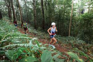 BIB: 
                            <button type="button" onclick="openModal(22485790)" class="btn btn-primary btn-sm float-right btn-popup" data-toggle="modal" data-target=".modal-high-quality">
                        <i class="fas fa-shopping-cart"></i> Add to Cart
                    </button>
                                            <button type="button" onclick="isThisMe(22485790, true)" class="btn btn-success btn-sm float-right btn-popup btn-isme hidden" data-toggle="tooltip" data-placement="bottom" title="นี่คือรูปของคุณใช่ไหม คลิกที่นี่เพื่อเอาเข้าอัลบั้ม">
                        <i class="fas fa-plus"></i> Add to album
                    </button>
                    <button type="button" onclick="isThisMe(22485790, false)" class="btn btn-warning btn-sm float-right btn-popup btn-isnotme hidden">
                        <i class="fas fa-ban"></i> Remove from album
                    </button>