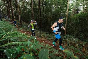 BIB: 
                            <button type="button" onclick="openModal(22464748)" class="btn btn-primary btn-sm float-right btn-popup" data-toggle="modal" data-target=".modal-high-quality">
                        <i class="fas fa-shopping-cart"></i> Add to Cart
                    </button>
                                            <button type="button" onclick="isThisMe(22464748, true)" class="btn btn-success btn-sm float-right btn-popup btn-isme hidden" data-toggle="tooltip" data-placement="bottom" title="นี่คือรูปของคุณใช่ไหม คลิกที่นี่เพื่อเอาเข้าอัลบั้ม">
                        <i class="fas fa-plus"></i> Add to album
                    </button>
                    <button type="button" onclick="isThisMe(22464748, false)" class="btn btn-warning btn-sm float-right btn-popup btn-isnotme hidden">
                        <i class="fas fa-ban"></i> Remove from album
                    </button>