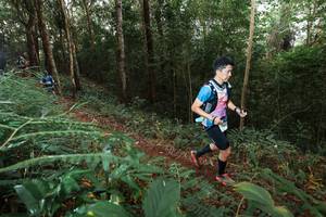 BIB: 
                            <button type="button" onclick="openModal(22464572)" class="btn btn-primary btn-sm float-right btn-popup" data-toggle="modal" data-target=".modal-high-quality">
                        <i class="fas fa-shopping-cart"></i> Add to Cart
                    </button>
                                            <button type="button" onclick="isThisMe(22464572, true)" class="btn btn-success btn-sm float-right btn-popup btn-isme hidden" data-toggle="tooltip" data-placement="bottom" title="นี่คือรูปของคุณใช่ไหม คลิกที่นี่เพื่อเอาเข้าอัลบั้ม">
                        <i class="fas fa-plus"></i> Add to album
                    </button>
                    <button type="button" onclick="isThisMe(22464572, false)" class="btn btn-warning btn-sm float-right btn-popup btn-isnotme hidden">
                        <i class="fas fa-ban"></i> Remove from album
                    </button>