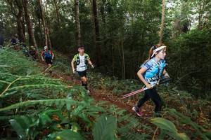 BIB: 
                            <button type="button" onclick="openModal(22464708)" class="btn btn-primary btn-sm float-right btn-popup" data-toggle="modal" data-target=".modal-high-quality">
                        <i class="fas fa-shopping-cart"></i> Add to Cart
                    </button>
                                            <button type="button" onclick="isThisMe(22464708, true)" class="btn btn-success btn-sm float-right btn-popup btn-isme hidden" data-toggle="tooltip" data-placement="bottom" title="นี่คือรูปของคุณใช่ไหม คลิกที่นี่เพื่อเอาเข้าอัลบั้ม">
                        <i class="fas fa-plus"></i> Add to album
                    </button>
                    <button type="button" onclick="isThisMe(22464708, false)" class="btn btn-warning btn-sm float-right btn-popup btn-isnotme hidden">
                        <i class="fas fa-ban"></i> Remove from album
                    </button>