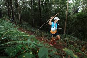 BIB: 
                            <button type="button" onclick="openModal(22482989)" class="btn btn-primary btn-sm float-right btn-popup" data-toggle="modal" data-target=".modal-high-quality">
                        <i class="fas fa-shopping-cart"></i> Add to Cart
                    </button>
                                            <button type="button" onclick="isThisMe(22482989, true)" class="btn btn-success btn-sm float-right btn-popup btn-isme hidden" data-toggle="tooltip" data-placement="bottom" title="นี่คือรูปของคุณใช่ไหม คลิกที่นี่เพื่อเอาเข้าอัลบั้ม">
                        <i class="fas fa-plus"></i> Add to album
                    </button>
                    <button type="button" onclick="isThisMe(22482989, false)" class="btn btn-warning btn-sm float-right btn-popup btn-isnotme hidden">
                        <i class="fas fa-ban"></i> Remove from album
                    </button>