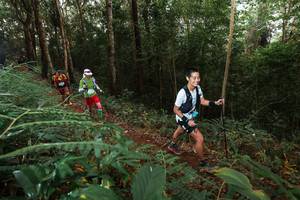 BIB: 
                            <button type="button" onclick="openModal(22464595)" class="btn btn-primary btn-sm float-right btn-popup" data-toggle="modal" data-target=".modal-high-quality">
                        <i class="fas fa-shopping-cart"></i> Add to Cart
                    </button>
                                            <button type="button" onclick="isThisMe(22464595, true)" class="btn btn-success btn-sm float-right btn-popup btn-isme hidden" data-toggle="tooltip" data-placement="bottom" title="นี่คือรูปของคุณใช่ไหม คลิกที่นี่เพื่อเอาเข้าอัลบั้ม">
                        <i class="fas fa-plus"></i> Add to album
                    </button>
                    <button type="button" onclick="isThisMe(22464595, false)" class="btn btn-warning btn-sm float-right btn-popup btn-isnotme hidden">
                        <i class="fas fa-ban"></i> Remove from album
                    </button>