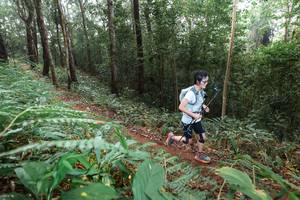 BIB: 
                            <button type="button" onclick="openModal(22485214)" class="btn btn-primary btn-sm float-right btn-popup" data-toggle="modal" data-target=".modal-high-quality">
                        <i class="fas fa-shopping-cart"></i> Add to Cart
                    </button>
                                            <button type="button" onclick="isThisMe(22485214, true)" class="btn btn-success btn-sm float-right btn-popup btn-isme hidden" data-toggle="tooltip" data-placement="bottom" title="นี่คือรูปของคุณใช่ไหม คลิกที่นี่เพื่อเอาเข้าอัลบั้ม">
                        <i class="fas fa-plus"></i> Add to album
                    </button>
                    <button type="button" onclick="isThisMe(22485214, false)" class="btn btn-warning btn-sm float-right btn-popup btn-isnotme hidden">
                        <i class="fas fa-ban"></i> Remove from album
                    </button>