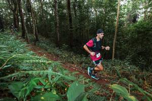 BIB: 
                            <button type="button" onclick="openModal(22486772)" class="btn btn-primary btn-sm float-right btn-popup" data-toggle="modal" data-target=".modal-high-quality">
                        <i class="fas fa-shopping-cart"></i> Add to Cart
                    </button>
                                            <button type="button" onclick="isThisMe(22486772, true)" class="btn btn-success btn-sm float-right btn-popup btn-isme hidden" data-toggle="tooltip" data-placement="bottom" title="นี่คือรูปของคุณใช่ไหม คลิกที่นี่เพื่อเอาเข้าอัลบั้ม">
                        <i class="fas fa-plus"></i> Add to album
                    </button>
                    <button type="button" onclick="isThisMe(22486772, false)" class="btn btn-warning btn-sm float-right btn-popup btn-isnotme hidden">
                        <i class="fas fa-ban"></i> Remove from album
                    </button>