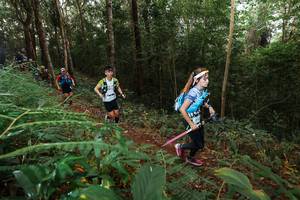 BIB: 
                            <button type="button" onclick="openModal(22464702)" class="btn btn-primary btn-sm float-right btn-popup" data-toggle="modal" data-target=".modal-high-quality">
                        <i class="fas fa-shopping-cart"></i> Add to Cart
                    </button>
                                            <button type="button" onclick="isThisMe(22464702, true)" class="btn btn-success btn-sm float-right btn-popup btn-isme hidden" data-toggle="tooltip" data-placement="bottom" title="นี่คือรูปของคุณใช่ไหม คลิกที่นี่เพื่อเอาเข้าอัลบั้ม">
                        <i class="fas fa-plus"></i> Add to album
                    </button>
                    <button type="button" onclick="isThisMe(22464702, false)" class="btn btn-warning btn-sm float-right btn-popup btn-isnotme hidden">
                        <i class="fas fa-ban"></i> Remove from album
                    </button>