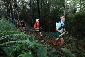 BIB: 
                            <button type="button" onclick="openModal(22465676)" class="btn btn-primary btn-sm float-right btn-popup" data-toggle="modal" data-target=".modal-high-quality">
                        <i class="fas fa-shopping-cart"></i> Add to Cart
                    </button>
                                            <button type="button" onclick="isThisMe(22465676, true)" class="btn btn-success btn-sm float-right btn-popup btn-isme hidden" data-toggle="tooltip" data-placement="bottom" title="นี่คือรูปของคุณใช่ไหม คลิกที่นี่เพื่อเอาเข้าอัลบั้ม">
                        <i class="fas fa-plus"></i> Add to album
                    </button>
                    <button type="button" onclick="isThisMe(22465676, false)" class="btn btn-warning btn-sm float-right btn-popup btn-isnotme hidden">
                        <i class="fas fa-ban"></i> Remove from album
                    </button>