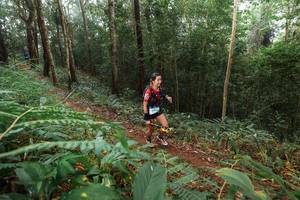 BIB: 
                            <button type="button" onclick="openModal(22479223)" class="btn btn-primary btn-sm float-right btn-popup" data-toggle="modal" data-target=".modal-high-quality">
                        <i class="fas fa-shopping-cart"></i> Add to Cart
                    </button>
                                            <button type="button" onclick="isThisMe(22479223, true)" class="btn btn-success btn-sm float-right btn-popup btn-isme hidden" data-toggle="tooltip" data-placement="bottom" title="นี่คือรูปของคุณใช่ไหม คลิกที่นี่เพื่อเอาเข้าอัลบั้ม">
                        <i class="fas fa-plus"></i> Add to album
                    </button>
                    <button type="button" onclick="isThisMe(22479223, false)" class="btn btn-warning btn-sm float-right btn-popup btn-isnotme hidden">
                        <i class="fas fa-ban"></i> Remove from album
                    </button>