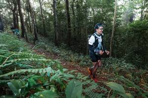 BIB: 
                            <button type="button" onclick="openModal(22477895)" class="btn btn-primary btn-sm float-right btn-popup" data-toggle="modal" data-target=".modal-high-quality">
                        <i class="fas fa-shopping-cart"></i> Add to Cart
                    </button>
                                            <button type="button" onclick="isThisMe(22477895, true)" class="btn btn-success btn-sm float-right btn-popup btn-isme hidden" data-toggle="tooltip" data-placement="bottom" title="นี่คือรูปของคุณใช่ไหม คลิกที่นี่เพื่อเอาเข้าอัลบั้ม">
                        <i class="fas fa-plus"></i> Add to album
                    </button>
                    <button type="button" onclick="isThisMe(22477895, false)" class="btn btn-warning btn-sm float-right btn-popup btn-isnotme hidden">
                        <i class="fas fa-ban"></i> Remove from album
                    </button>