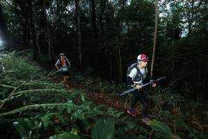 BIB: 
                            <button type="button" onclick="openModal(22452564)" class="btn btn-primary btn-sm float-right btn-popup" data-toggle="modal" data-target=".modal-high-quality">
                        <i class="fas fa-shopping-cart"></i> Add to Cart
                    </button>
                                            <button type="button" onclick="isThisMe(22452564, true)" class="btn btn-success btn-sm float-right btn-popup btn-isme hidden" data-toggle="tooltip" data-placement="bottom" title="นี่คือรูปของคุณใช่ไหม คลิกที่นี่เพื่อเอาเข้าอัลบั้ม">
                        <i class="fas fa-plus"></i> Add to album
                    </button>
                    <button type="button" onclick="isThisMe(22452564, false)" class="btn btn-warning btn-sm float-right btn-popup btn-isnotme hidden">
                        <i class="fas fa-ban"></i> Remove from album
                    </button>