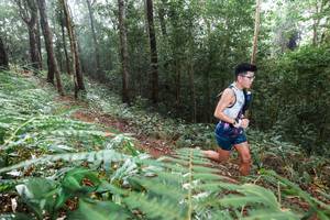 BIB: 
                            <button type="button" onclick="openModal(22485167)" class="btn btn-primary btn-sm float-right btn-popup" data-toggle="modal" data-target=".modal-high-quality">
                        <i class="fas fa-shopping-cart"></i> Add to Cart
                    </button>
                                            <button type="button" onclick="isThisMe(22485167, true)" class="btn btn-success btn-sm float-right btn-popup btn-isme hidden" data-toggle="tooltip" data-placement="bottom" title="นี่คือรูปของคุณใช่ไหม คลิกที่นี่เพื่อเอาเข้าอัลบั้ม">
                        <i class="fas fa-plus"></i> Add to album
                    </button>
                    <button type="button" onclick="isThisMe(22485167, false)" class="btn btn-warning btn-sm float-right btn-popup btn-isnotme hidden">
                        <i class="fas fa-ban"></i> Remove from album
                    </button>