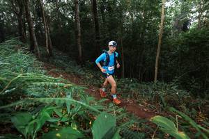 BIB: 
                            <button type="button" onclick="openModal(22488105)" class="btn btn-primary btn-sm float-right btn-popup" data-toggle="modal" data-target=".modal-high-quality">
                        <i class="fas fa-shopping-cart"></i> Add to Cart
                    </button>
                                            <button type="button" onclick="isThisMe(22488105, true)" class="btn btn-success btn-sm float-right btn-popup btn-isme hidden" data-toggle="tooltip" data-placement="bottom" title="นี่คือรูปของคุณใช่ไหม คลิกที่นี่เพื่อเอาเข้าอัลบั้ม">
                        <i class="fas fa-plus"></i> Add to album
                    </button>
                    <button type="button" onclick="isThisMe(22488105, false)" class="btn btn-warning btn-sm float-right btn-popup btn-isnotme hidden">
                        <i class="fas fa-ban"></i> Remove from album
                    </button>