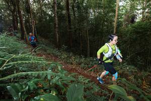 BIB: 
                            <button type="button" onclick="openModal(22464276)" class="btn btn-primary btn-sm float-right btn-popup" data-toggle="modal" data-target=".modal-high-quality">
                        <i class="fas fa-shopping-cart"></i> Add to Cart
                    </button>
                                            <button type="button" onclick="isThisMe(22464276, true)" class="btn btn-success btn-sm float-right btn-popup btn-isme hidden" data-toggle="tooltip" data-placement="bottom" title="นี่คือรูปของคุณใช่ไหม คลิกที่นี่เพื่อเอาเข้าอัลบั้ม">
                        <i class="fas fa-plus"></i> Add to album
                    </button>
                    <button type="button" onclick="isThisMe(22464276, false)" class="btn btn-warning btn-sm float-right btn-popup btn-isnotme hidden">
                        <i class="fas fa-ban"></i> Remove from album
                    </button>