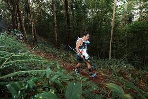 BIB: 
                            <button type="button" onclick="openModal(22464445)" class="btn btn-primary btn-sm float-right btn-popup" data-toggle="modal" data-target=".modal-high-quality">
                        <i class="fas fa-shopping-cart"></i> Add to Cart
                    </button>
                                            <button type="button" onclick="isThisMe(22464445, true)" class="btn btn-success btn-sm float-right btn-popup btn-isme hidden" data-toggle="tooltip" data-placement="bottom" title="นี่คือรูปของคุณใช่ไหม คลิกที่นี่เพื่อเอาเข้าอัลบั้ม">
                        <i class="fas fa-plus"></i> Add to album
                    </button>
                    <button type="button" onclick="isThisMe(22464445, false)" class="btn btn-warning btn-sm float-right btn-popup btn-isnotme hidden">
                        <i class="fas fa-ban"></i> Remove from album
                    </button>