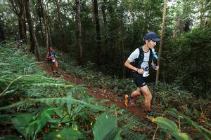 BIB: 
                            <button type="button" onclick="openModal(22486969)" class="btn btn-primary btn-sm float-right btn-popup" data-toggle="modal" data-target=".modal-high-quality">
                        <i class="fas fa-shopping-cart"></i> Add to Cart
                    </button>
                                            <button type="button" onclick="isThisMe(22486969, true)" class="btn btn-success btn-sm float-right btn-popup btn-isme hidden" data-toggle="tooltip" data-placement="bottom" title="นี่คือรูปของคุณใช่ไหม คลิกที่นี่เพื่อเอาเข้าอัลบั้ม">
                        <i class="fas fa-plus"></i> Add to album
                    </button>
                    <button type="button" onclick="isThisMe(22486969, false)" class="btn btn-warning btn-sm float-right btn-popup btn-isnotme hidden">
                        <i class="fas fa-ban"></i> Remove from album
                    </button>