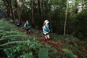 BIB: 
                            <button type="button" onclick="openModal(22464215)" class="btn btn-primary btn-sm float-right btn-popup" data-toggle="modal" data-target=".modal-high-quality">
                        <i class="fas fa-shopping-cart"></i> Add to Cart
                    </button>
                                            <button type="button" onclick="isThisMe(22464215, true)" class="btn btn-success btn-sm float-right btn-popup btn-isme hidden" data-toggle="tooltip" data-placement="bottom" title="นี่คือรูปของคุณใช่ไหม คลิกที่นี่เพื่อเอาเข้าอัลบั้ม">
                        <i class="fas fa-plus"></i> Add to album
                    </button>
                    <button type="button" onclick="isThisMe(22464215, false)" class="btn btn-warning btn-sm float-right btn-popup btn-isnotme hidden">
                        <i class="fas fa-ban"></i> Remove from album
                    </button>