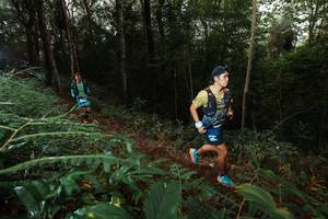 BIB: 
                            <button type="button" onclick="openModal(22462958)" class="btn btn-primary btn-sm float-right btn-popup" data-toggle="modal" data-target=".modal-high-quality">
                        <i class="fas fa-shopping-cart"></i> Add to Cart
                    </button>
                                            <button type="button" onclick="isThisMe(22462958, true)" class="btn btn-success btn-sm float-right btn-popup btn-isme hidden" data-toggle="tooltip" data-placement="bottom" title="นี่คือรูปของคุณใช่ไหม คลิกที่นี่เพื่อเอาเข้าอัลบั้ม">
                        <i class="fas fa-plus"></i> Add to album
                    </button>
                    <button type="button" onclick="isThisMe(22462958, false)" class="btn btn-warning btn-sm float-right btn-popup btn-isnotme hidden">
                        <i class="fas fa-ban"></i> Remove from album
                    </button>