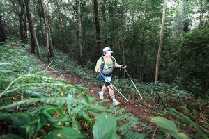 BIB: 
                            <button type="button" onclick="openModal(22479499)" class="btn btn-primary btn-sm float-right btn-popup" data-toggle="modal" data-target=".modal-high-quality">
                        <i class="fas fa-shopping-cart"></i> Add to Cart
                    </button>
                                            <button type="button" onclick="isThisMe(22479499, true)" class="btn btn-success btn-sm float-right btn-popup btn-isme hidden" data-toggle="tooltip" data-placement="bottom" title="นี่คือรูปของคุณใช่ไหม คลิกที่นี่เพื่อเอาเข้าอัลบั้ม">
                        <i class="fas fa-plus"></i> Add to album
                    </button>
                    <button type="button" onclick="isThisMe(22479499, false)" class="btn btn-warning btn-sm float-right btn-popup btn-isnotme hidden">
                        <i class="fas fa-ban"></i> Remove from album
                    </button>