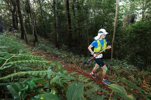 BIB: 
                            <button type="button" onclick="openModal(22465124)" class="btn btn-primary btn-sm float-right btn-popup" data-toggle="modal" data-target=".modal-high-quality">
                        <i class="fas fa-shopping-cart"></i> Add to Cart
                    </button>
                                            <button type="button" onclick="isThisMe(22465124, true)" class="btn btn-success btn-sm float-right btn-popup btn-isme hidden" data-toggle="tooltip" data-placement="bottom" title="นี่คือรูปของคุณใช่ไหม คลิกที่นี่เพื่อเอาเข้าอัลบั้ม">
                        <i class="fas fa-plus"></i> Add to album
                    </button>
                    <button type="button" onclick="isThisMe(22465124, false)" class="btn btn-warning btn-sm float-right btn-popup btn-isnotme hidden">
                        <i class="fas fa-ban"></i> Remove from album
                    </button>