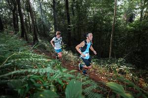 BIB: 
                            <button type="button" onclick="openModal(22479804)" class="btn btn-primary btn-sm float-right btn-popup" data-toggle="modal" data-target=".modal-high-quality">
                        <i class="fas fa-shopping-cart"></i> Add to Cart
                    </button>
                                            <button type="button" onclick="isThisMe(22479804, true)" class="btn btn-success btn-sm float-right btn-popup btn-isme hidden" data-toggle="tooltip" data-placement="bottom" title="นี่คือรูปของคุณใช่ไหม คลิกที่นี่เพื่อเอาเข้าอัลบั้ม">
                        <i class="fas fa-plus"></i> Add to album
                    </button>
                    <button type="button" onclick="isThisMe(22479804, false)" class="btn btn-warning btn-sm float-right btn-popup btn-isnotme hidden">
                        <i class="fas fa-ban"></i> Remove from album
                    </button>