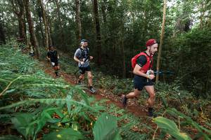 BIB: 
                            <button type="button" onclick="openModal(22486184)" class="btn btn-primary btn-sm float-right btn-popup" data-toggle="modal" data-target=".modal-high-quality">
                        <i class="fas fa-shopping-cart"></i> Add to Cart
                    </button>
                                            <button type="button" onclick="isThisMe(22486184, true)" class="btn btn-success btn-sm float-right btn-popup btn-isme hidden" data-toggle="tooltip" data-placement="bottom" title="นี่คือรูปของคุณใช่ไหม คลิกที่นี่เพื่อเอาเข้าอัลบั้ม">
                        <i class="fas fa-plus"></i> Add to album
                    </button>
                    <button type="button" onclick="isThisMe(22486184, false)" class="btn btn-warning btn-sm float-right btn-popup btn-isnotme hidden">
                        <i class="fas fa-ban"></i> Remove from album
                    </button>