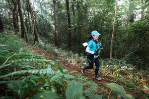 BIB: 
                            <button type="button" onclick="openModal(22479737)" class="btn btn-primary btn-sm float-right btn-popup" data-toggle="modal" data-target=".modal-high-quality">
                        <i class="fas fa-shopping-cart"></i> Add to Cart
                    </button>
                                            <button type="button" onclick="isThisMe(22479737, true)" class="btn btn-success btn-sm float-right btn-popup btn-isme hidden" data-toggle="tooltip" data-placement="bottom" title="นี่คือรูปของคุณใช่ไหม คลิกที่นี่เพื่อเอาเข้าอัลบั้ม">
                        <i class="fas fa-plus"></i> Add to album
                    </button>
                    <button type="button" onclick="isThisMe(22479737, false)" class="btn btn-warning btn-sm float-right btn-popup btn-isnotme hidden">
                        <i class="fas fa-ban"></i> Remove from album
                    </button>