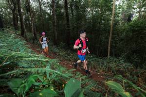 BIB: 
                            <button type="button" onclick="openModal(22487199)" class="btn btn-primary btn-sm float-right btn-popup" data-toggle="modal" data-target=".modal-high-quality">
                        <i class="fas fa-shopping-cart"></i> Add to Cart
                    </button>
                                            <button type="button" onclick="isThisMe(22487199, true)" class="btn btn-success btn-sm float-right btn-popup btn-isme hidden" data-toggle="tooltip" data-placement="bottom" title="นี่คือรูปของคุณใช่ไหม คลิกที่นี่เพื่อเอาเข้าอัลบั้ม">
                        <i class="fas fa-plus"></i> Add to album
                    </button>
                    <button type="button" onclick="isThisMe(22487199, false)" class="btn btn-warning btn-sm float-right btn-popup btn-isnotme hidden">
                        <i class="fas fa-ban"></i> Remove from album
                    </button>