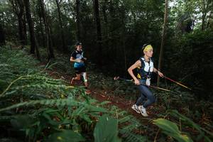 BIB: 
                            <button type="button" onclick="openModal(22480025)" class="btn btn-primary btn-sm float-right btn-popup" data-toggle="modal" data-target=".modal-high-quality">
                        <i class="fas fa-shopping-cart"></i> Add to Cart
                    </button>
                                            <button type="button" onclick="isThisMe(22480025, true)" class="btn btn-success btn-sm float-right btn-popup btn-isme hidden" data-toggle="tooltip" data-placement="bottom" title="นี่คือรูปของคุณใช่ไหม คลิกที่นี่เพื่อเอาเข้าอัลบั้ม">
                        <i class="fas fa-plus"></i> Add to album
                    </button>
                    <button type="button" onclick="isThisMe(22480025, false)" class="btn btn-warning btn-sm float-right btn-popup btn-isnotme hidden">
                        <i class="fas fa-ban"></i> Remove from album
                    </button>