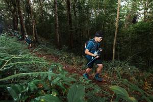 BIB: 
                            <button type="button" onclick="openModal(22464212)" class="btn btn-primary btn-sm float-right btn-popup" data-toggle="modal" data-target=".modal-high-quality">
                        <i class="fas fa-shopping-cart"></i> Add to Cart
                    </button>
                                            <button type="button" onclick="isThisMe(22464212, true)" class="btn btn-success btn-sm float-right btn-popup btn-isme hidden" data-toggle="tooltip" data-placement="bottom" title="นี่คือรูปของคุณใช่ไหม คลิกที่นี่เพื่อเอาเข้าอัลบั้ม">
                        <i class="fas fa-plus"></i> Add to album
                    </button>
                    <button type="button" onclick="isThisMe(22464212, false)" class="btn btn-warning btn-sm float-right btn-popup btn-isnotme hidden">
                        <i class="fas fa-ban"></i> Remove from album
                    </button>