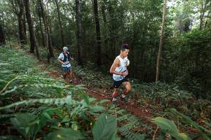 BIB: 
                            <button type="button" onclick="openModal(22482347)" class="btn btn-primary btn-sm float-right btn-popup" data-toggle="modal" data-target=".modal-high-quality">
                        <i class="fas fa-shopping-cart"></i> Add to Cart
                    </button>
                                            <button type="button" onclick="isThisMe(22482347, true)" class="btn btn-success btn-sm float-right btn-popup btn-isme hidden" data-toggle="tooltip" data-placement="bottom" title="นี่คือรูปของคุณใช่ไหม คลิกที่นี่เพื่อเอาเข้าอัลบั้ม">
                        <i class="fas fa-plus"></i> Add to album
                    </button>
                    <button type="button" onclick="isThisMe(22482347, false)" class="btn btn-warning btn-sm float-right btn-popup btn-isnotme hidden">
                        <i class="fas fa-ban"></i> Remove from album
                    </button>