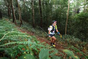 BIB: 
                            <button type="button" onclick="openModal(22479377)" class="btn btn-primary btn-sm float-right btn-popup" data-toggle="modal" data-target=".modal-high-quality">
                        <i class="fas fa-shopping-cart"></i> Add to Cart
                    </button>
                                            <button type="button" onclick="isThisMe(22479377, true)" class="btn btn-success btn-sm float-right btn-popup btn-isme hidden" data-toggle="tooltip" data-placement="bottom" title="นี่คือรูปของคุณใช่ไหม คลิกที่นี่เพื่อเอาเข้าอัลบั้ม">
                        <i class="fas fa-plus"></i> Add to album
                    </button>
                    <button type="button" onclick="isThisMe(22479377, false)" class="btn btn-warning btn-sm float-right btn-popup btn-isnotme hidden">
                        <i class="fas fa-ban"></i> Remove from album
                    </button>