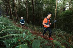 BIB: 
                            <button type="button" onclick="openModal(22464433)" class="btn btn-primary btn-sm float-right btn-popup" data-toggle="modal" data-target=".modal-high-quality">
                        <i class="fas fa-shopping-cart"></i> Add to Cart
                    </button>
                                            <button type="button" onclick="isThisMe(22464433, true)" class="btn btn-success btn-sm float-right btn-popup btn-isme hidden" data-toggle="tooltip" data-placement="bottom" title="นี่คือรูปของคุณใช่ไหม คลิกที่นี่เพื่อเอาเข้าอัลบั้ม">
                        <i class="fas fa-plus"></i> Add to album
                    </button>
                    <button type="button" onclick="isThisMe(22464433, false)" class="btn btn-warning btn-sm float-right btn-popup btn-isnotme hidden">
                        <i class="fas fa-ban"></i> Remove from album
                    </button>