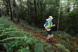 BIB: 
                            <button type="button" onclick="openModal(22465117)" class="btn btn-primary btn-sm float-right btn-popup" data-toggle="modal" data-target=".modal-high-quality">
                        <i class="fas fa-shopping-cart"></i> Add to Cart
                    </button>
                                            <button type="button" onclick="isThisMe(22465117, true)" class="btn btn-success btn-sm float-right btn-popup btn-isme hidden" data-toggle="tooltip" data-placement="bottom" title="นี่คือรูปของคุณใช่ไหม คลิกที่นี่เพื่อเอาเข้าอัลบั้ม">
                        <i class="fas fa-plus"></i> Add to album
                    </button>
                    <button type="button" onclick="isThisMe(22465117, false)" class="btn btn-warning btn-sm float-right btn-popup btn-isnotme hidden">
                        <i class="fas fa-ban"></i> Remove from album
                    </button>