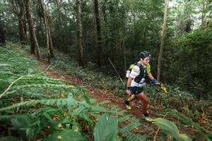 BIB: 
                            <button type="button" onclick="openModal(22479386)" class="btn btn-primary btn-sm float-right btn-popup" data-toggle="modal" data-target=".modal-high-quality">
                        <i class="fas fa-shopping-cart"></i> Add to Cart
                    </button>
                                            <button type="button" onclick="isThisMe(22479386, true)" class="btn btn-success btn-sm float-right btn-popup btn-isme hidden" data-toggle="tooltip" data-placement="bottom" title="นี่คือรูปของคุณใช่ไหม คลิกที่นี่เพื่อเอาเข้าอัลบั้ม">
                        <i class="fas fa-plus"></i> Add to album
                    </button>
                    <button type="button" onclick="isThisMe(22479386, false)" class="btn btn-warning btn-sm float-right btn-popup btn-isnotme hidden">
                        <i class="fas fa-ban"></i> Remove from album
                    </button>