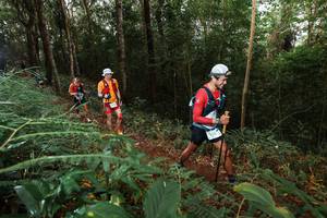 BIB: 
                            <button type="button" onclick="openModal(22464081)" class="btn btn-primary btn-sm float-right btn-popup" data-toggle="modal" data-target=".modal-high-quality">
                        <i class="fas fa-shopping-cart"></i> Add to Cart
                    </button>
                                            <button type="button" onclick="isThisMe(22464081, true)" class="btn btn-success btn-sm float-right btn-popup btn-isme hidden" data-toggle="tooltip" data-placement="bottom" title="นี่คือรูปของคุณใช่ไหม คลิกที่นี่เพื่อเอาเข้าอัลบั้ม">
                        <i class="fas fa-plus"></i> Add to album
                    </button>
                    <button type="button" onclick="isThisMe(22464081, false)" class="btn btn-warning btn-sm float-right btn-popup btn-isnotme hidden">
                        <i class="fas fa-ban"></i> Remove from album
                    </button>