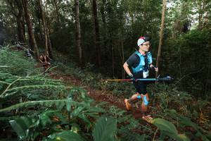 BIB: 
                            <button type="button" onclick="openModal(22464301)" class="btn btn-primary btn-sm float-right btn-popup" data-toggle="modal" data-target=".modal-high-quality">
                        <i class="fas fa-shopping-cart"></i> Add to Cart
                    </button>
                                            <button type="button" onclick="isThisMe(22464301, true)" class="btn btn-success btn-sm float-right btn-popup btn-isme hidden" data-toggle="tooltip" data-placement="bottom" title="นี่คือรูปของคุณใช่ไหม คลิกที่นี่เพื่อเอาเข้าอัลบั้ม">
                        <i class="fas fa-plus"></i> Add to album
                    </button>
                    <button type="button" onclick="isThisMe(22464301, false)" class="btn btn-warning btn-sm float-right btn-popup btn-isnotme hidden">
                        <i class="fas fa-ban"></i> Remove from album
                    </button>