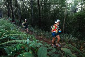 BIB: 
                            <button type="button" onclick="openModal(22476933)" class="btn btn-primary btn-sm float-right btn-popup" data-toggle="modal" data-target=".modal-high-quality">
                        <i class="fas fa-shopping-cart"></i> Add to Cart
                    </button>
                                            <button type="button" onclick="isThisMe(22476933, true)" class="btn btn-success btn-sm float-right btn-popup btn-isme hidden" data-toggle="tooltip" data-placement="bottom" title="นี่คือรูปของคุณใช่ไหม คลิกที่นี่เพื่อเอาเข้าอัลบั้ม">
                        <i class="fas fa-plus"></i> Add to album
                    </button>
                    <button type="button" onclick="isThisMe(22476933, false)" class="btn btn-warning btn-sm float-right btn-popup btn-isnotme hidden">
                        <i class="fas fa-ban"></i> Remove from album
                    </button>