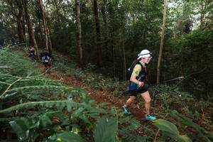 BIB: 
                            <button type="button" onclick="openModal(22464637)" class="btn btn-primary btn-sm float-right btn-popup" data-toggle="modal" data-target=".modal-high-quality">
                        <i class="fas fa-shopping-cart"></i> Add to Cart
                    </button>
                                            <button type="button" onclick="isThisMe(22464637, true)" class="btn btn-success btn-sm float-right btn-popup btn-isme hidden" data-toggle="tooltip" data-placement="bottom" title="นี่คือรูปของคุณใช่ไหม คลิกที่นี่เพื่อเอาเข้าอัลบั้ม">
                        <i class="fas fa-plus"></i> Add to album
                    </button>
                    <button type="button" onclick="isThisMe(22464637, false)" class="btn btn-warning btn-sm float-right btn-popup btn-isnotme hidden">
                        <i class="fas fa-ban"></i> Remove from album
                    </button>