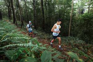 BIB: 
                            <button type="button" onclick="openModal(22482352)" class="btn btn-primary btn-sm float-right btn-popup" data-toggle="modal" data-target=".modal-high-quality">
                        <i class="fas fa-shopping-cart"></i> Add to Cart
                    </button>
                                            <button type="button" onclick="isThisMe(22482352, true)" class="btn btn-success btn-sm float-right btn-popup btn-isme hidden" data-toggle="tooltip" data-placement="bottom" title="นี่คือรูปของคุณใช่ไหม คลิกที่นี่เพื่อเอาเข้าอัลบั้ม">
                        <i class="fas fa-plus"></i> Add to album
                    </button>
                    <button type="button" onclick="isThisMe(22482352, false)" class="btn btn-warning btn-sm float-right btn-popup btn-isnotme hidden">
                        <i class="fas fa-ban"></i> Remove from album
                    </button>