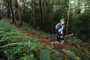 BIB: 
                            <button type="button" onclick="openModal(22464922)" class="btn btn-primary btn-sm float-right btn-popup" data-toggle="modal" data-target=".modal-high-quality">
                        <i class="fas fa-shopping-cart"></i> Add to Cart
                    </button>
                                            <button type="button" onclick="isThisMe(22464922, true)" class="btn btn-success btn-sm float-right btn-popup btn-isme hidden" data-toggle="tooltip" data-placement="bottom" title="นี่คือรูปของคุณใช่ไหม คลิกที่นี่เพื่อเอาเข้าอัลบั้ม">
                        <i class="fas fa-plus"></i> Add to album
                    </button>
                    <button type="button" onclick="isThisMe(22464922, false)" class="btn btn-warning btn-sm float-right btn-popup btn-isnotme hidden">
                        <i class="fas fa-ban"></i> Remove from album
                    </button>