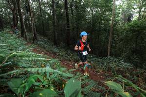 BIB: 
                            <button type="button" onclick="openModal(22483901)" class="btn btn-primary btn-sm float-right btn-popup" data-toggle="modal" data-target=".modal-high-quality">
                        <i class="fas fa-shopping-cart"></i> Add to Cart
                    </button>
                                            <button type="button" onclick="isThisMe(22483901, true)" class="btn btn-success btn-sm float-right btn-popup btn-isme hidden" data-toggle="tooltip" data-placement="bottom" title="นี่คือรูปของคุณใช่ไหม คลิกที่นี่เพื่อเอาเข้าอัลบั้ม">
                        <i class="fas fa-plus"></i> Add to album
                    </button>
                    <button type="button" onclick="isThisMe(22483901, false)" class="btn btn-warning btn-sm float-right btn-popup btn-isnotme hidden">
                        <i class="fas fa-ban"></i> Remove from album
                    </button>