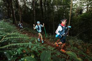 BIB: 
                            <button type="button" onclick="openModal(22462776)" class="btn btn-primary btn-sm float-right btn-popup" data-toggle="modal" data-target=".modal-high-quality">
                        <i class="fas fa-shopping-cart"></i> Add to Cart
                    </button>
                                            <button type="button" onclick="isThisMe(22462776, true)" class="btn btn-success btn-sm float-right btn-popup btn-isme hidden" data-toggle="tooltip" data-placement="bottom" title="นี่คือรูปของคุณใช่ไหม คลิกที่นี่เพื่อเอาเข้าอัลบั้ม">
                        <i class="fas fa-plus"></i> Add to album
                    </button>
                    <button type="button" onclick="isThisMe(22462776, false)" class="btn btn-warning btn-sm float-right btn-popup btn-isnotme hidden">
                        <i class="fas fa-ban"></i> Remove from album
                    </button>