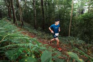 BIB: 813, 5105
                            <button type="button" onclick="openModal(22481583)" class="btn btn-primary btn-sm float-right btn-popup" data-toggle="modal" data-target=".modal-high-quality">
                        <i class="fas fa-shopping-cart"></i> Add to Cart
                    </button>
                                            <button type="button" onclick="isThisMe(22481583, true)" class="btn btn-success btn-sm float-right btn-popup btn-isme hidden" data-toggle="tooltip" data-placement="bottom" title="นี่คือรูปของคุณใช่ไหม คลิกที่นี่เพื่อเอาเข้าอัลบั้ม">
                        <i class="fas fa-plus"></i> Add to album
                    </button>
                    <button type="button" onclick="isThisMe(22481583, false)" class="btn btn-warning btn-sm float-right btn-popup btn-isnotme hidden">
                        <i class="fas fa-ban"></i> Remove from album
                    </button>